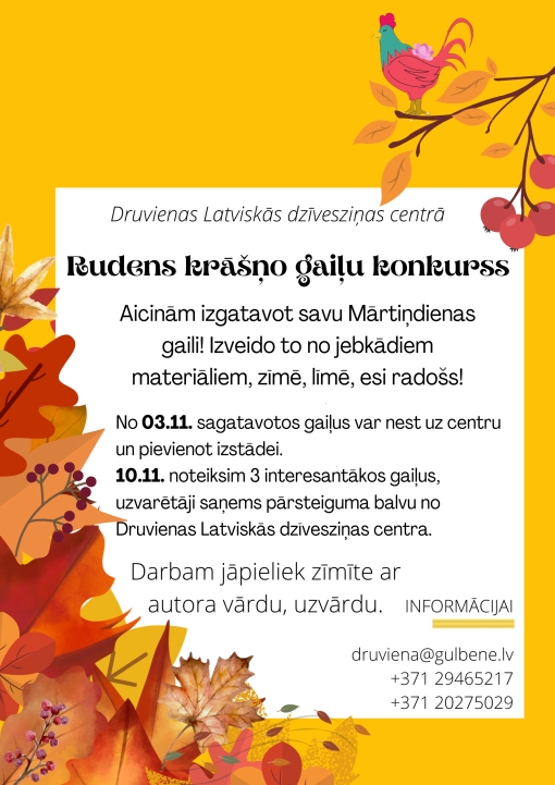Dzirkstele.lv raksta attēla aizvietotājs
