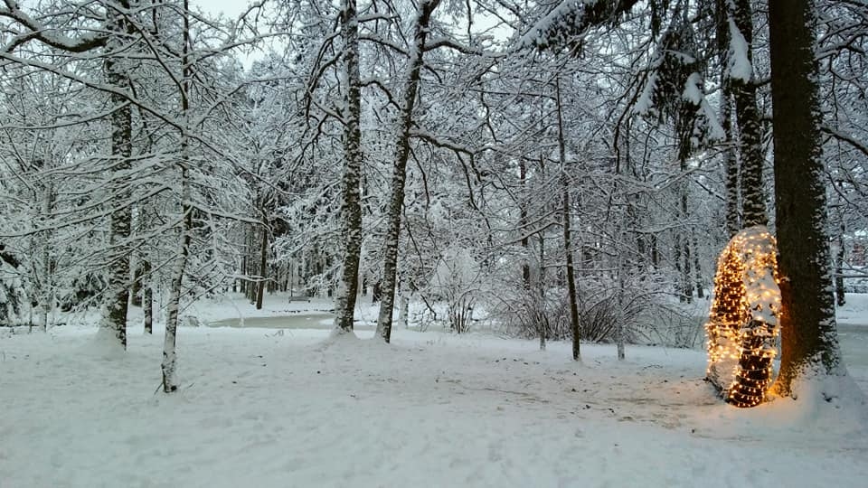 Autors: Pārsla Konrāde