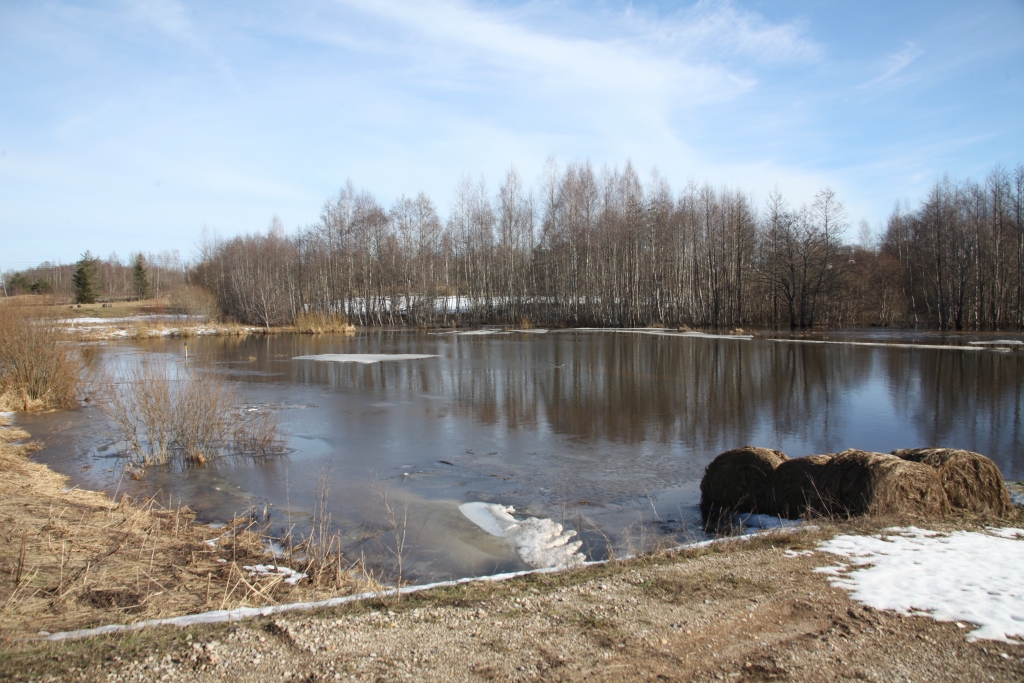 Krustalīce
Autors: Gatis Bogdanovs