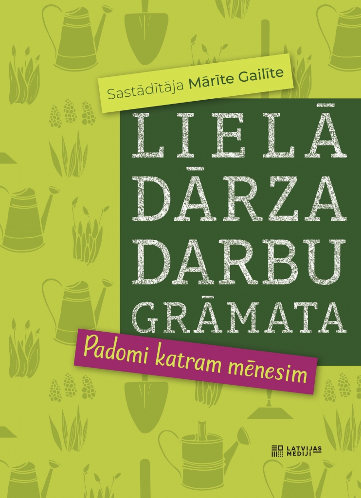 Dzirkstele.lv raksta attēla aizvietotājs