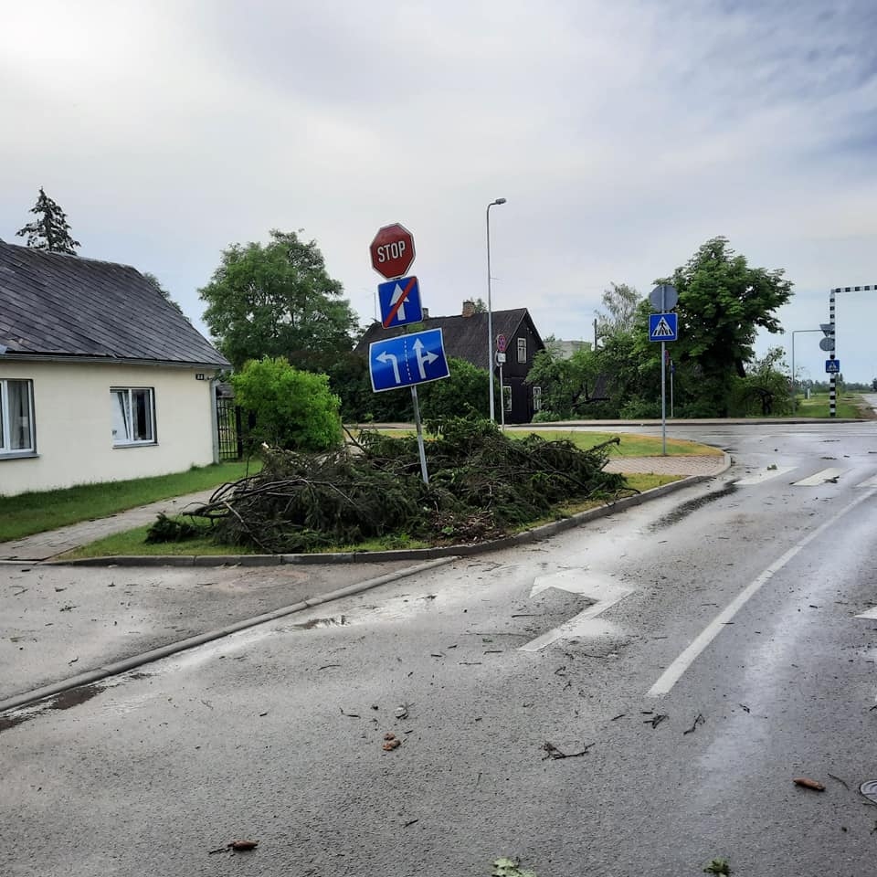 Gulbene
Autors: Zigrīda Krastiņa