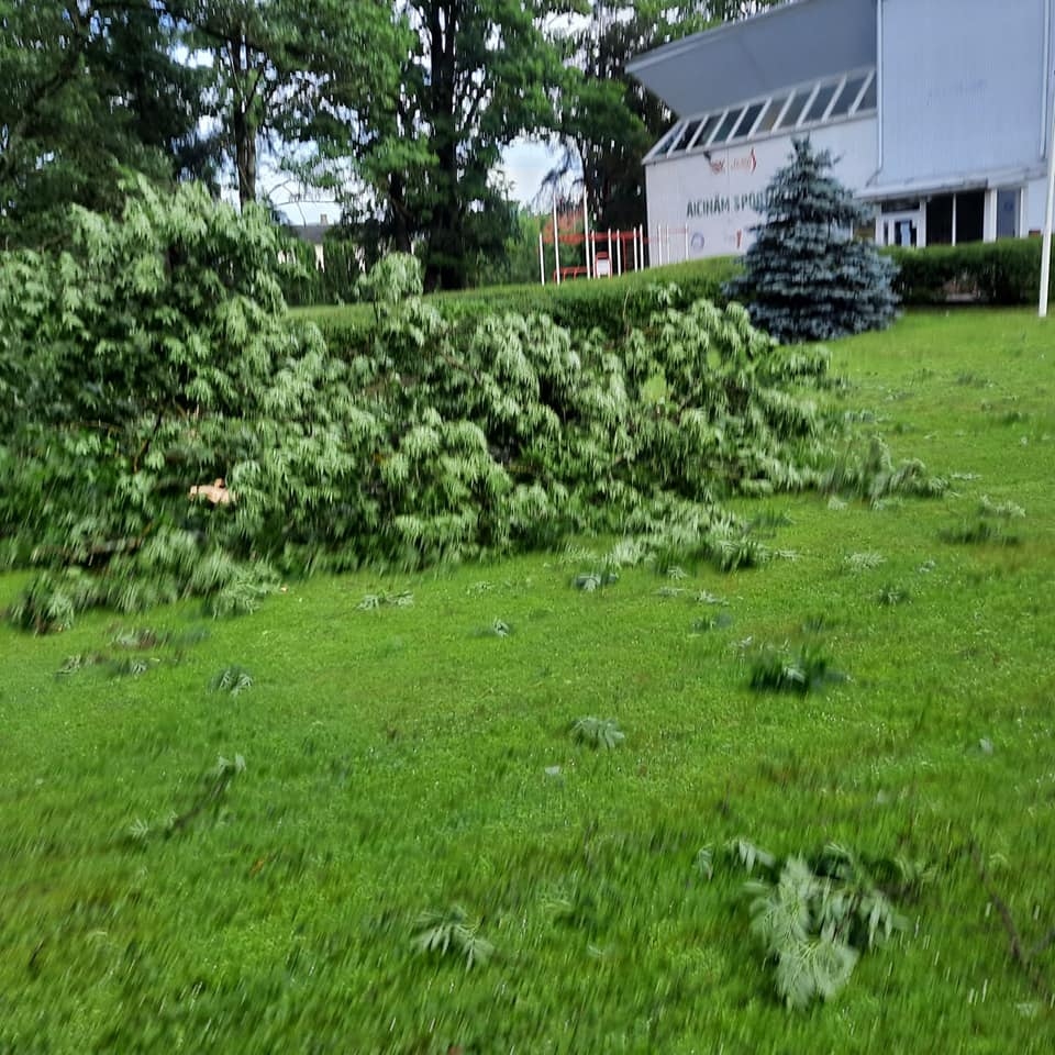 Gulbene
Autors: Zigrīda Krastiņa
