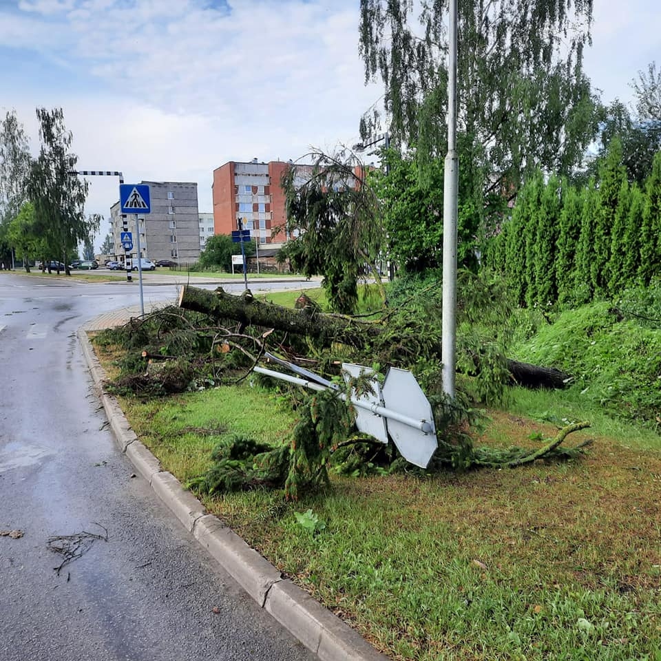 Gulbene
Autors: Zigrīda Krastiņa