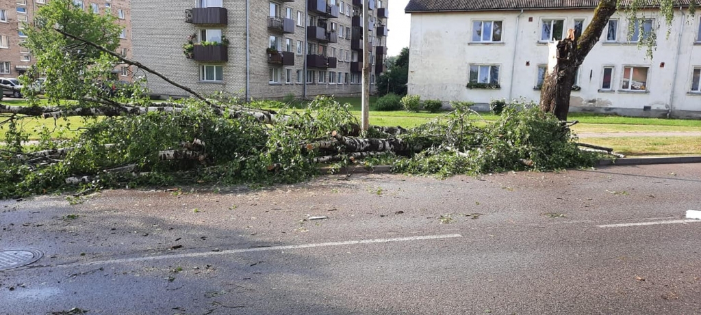 Gulbene
Autors: Zigrīda Krastiņa