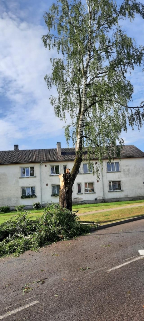 Gulbene
Autors: Zigrīda Krastiņa