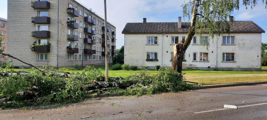 Gulbene
Autors: Zigrīda Krastiņa