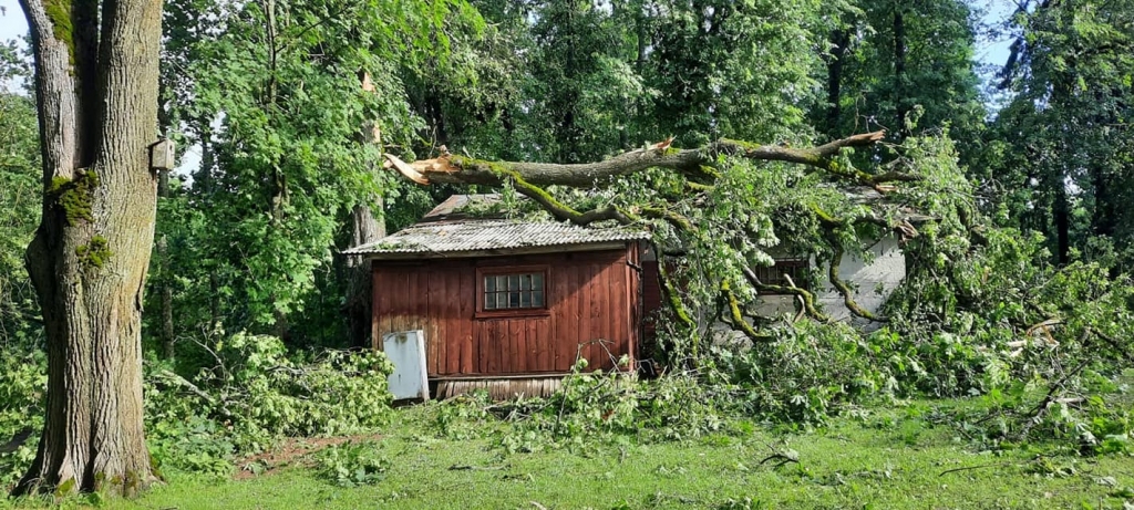 "Dzirkstele" aicina sūtīt foto ar postījumiem uz e-pastu "info@dzirkstele.lv" vai "WhatsApp" 26415659.
Autors: Zigrīda Krastiņa