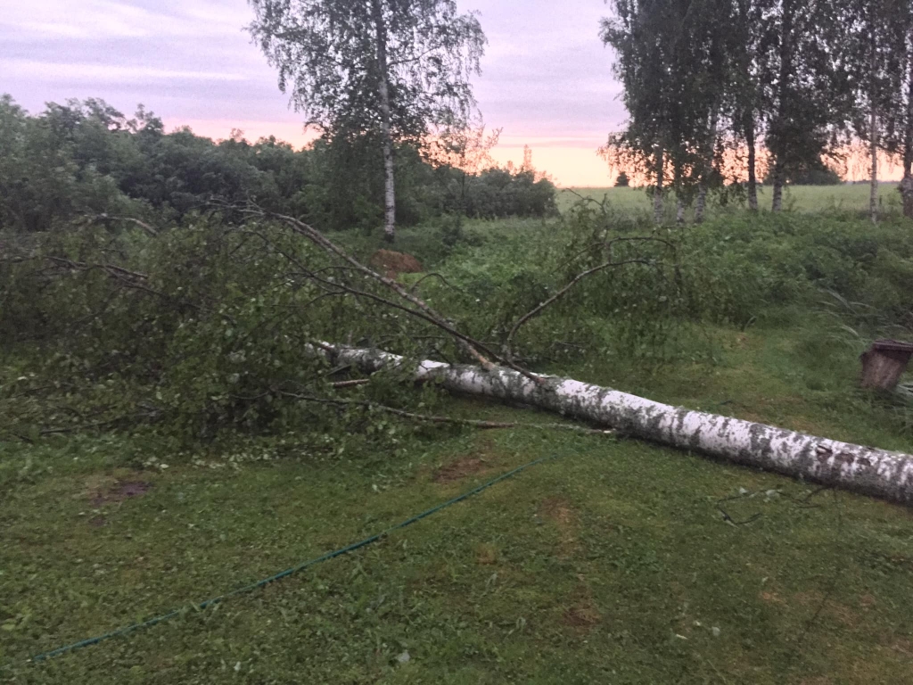 Galgauska
Autors: Igors Vīcups