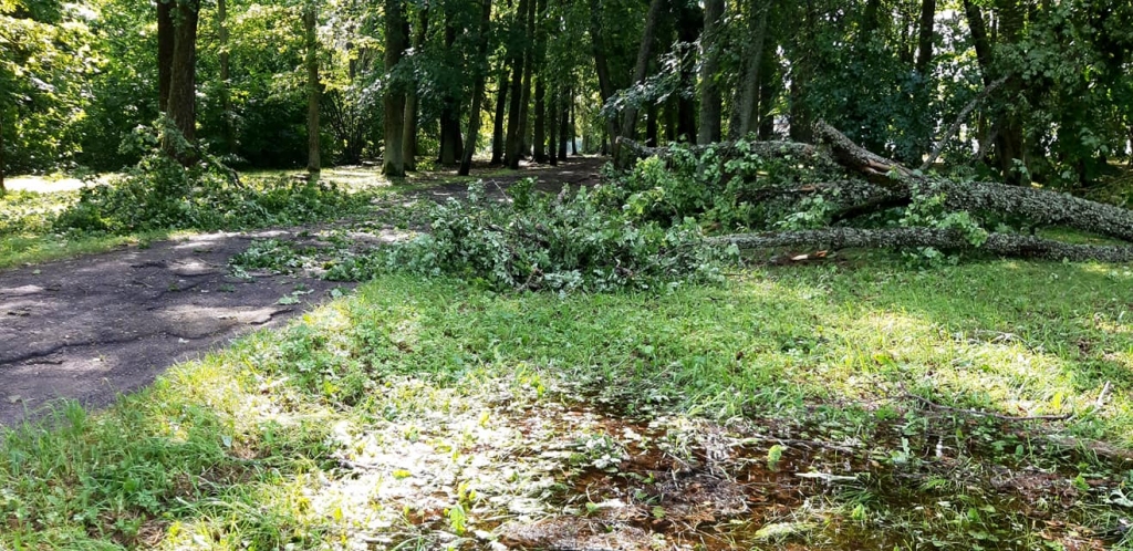 Spārītes parks Gulbenē
Autors: Lita Lolita Barkāne
