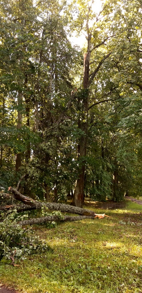 Spārītes parks Gulbenē
Autors: Lita Lolita Barkāne