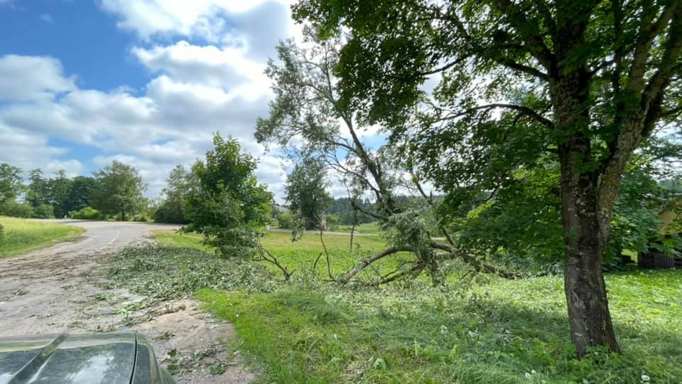 Tirza.
Autors: Līga Āpša