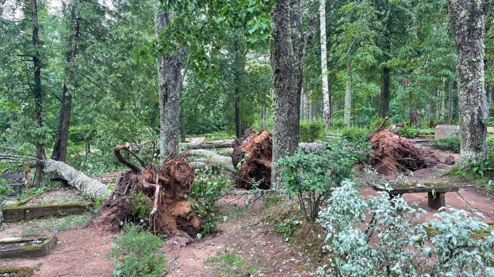 Tirzas Kancēna kapi.
Autors: Līga Āpša