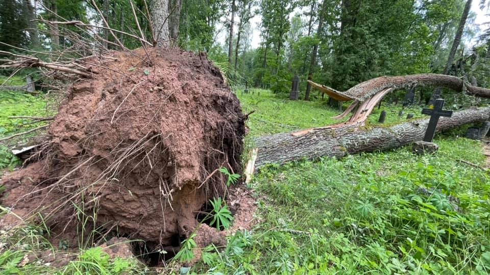 Tirzas Kancēna kapi.
Autors: Līga Āpša