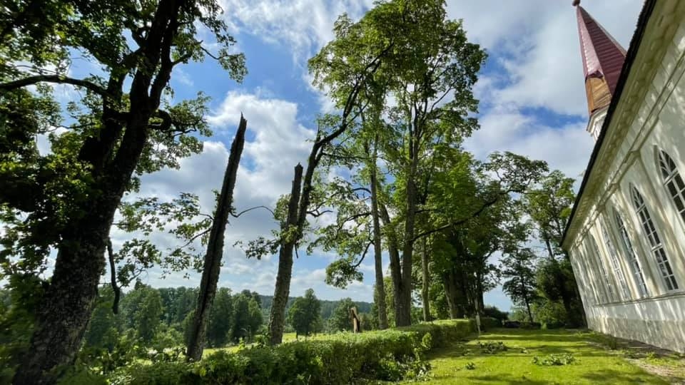 Tirza.
Autors: Līga Āpša