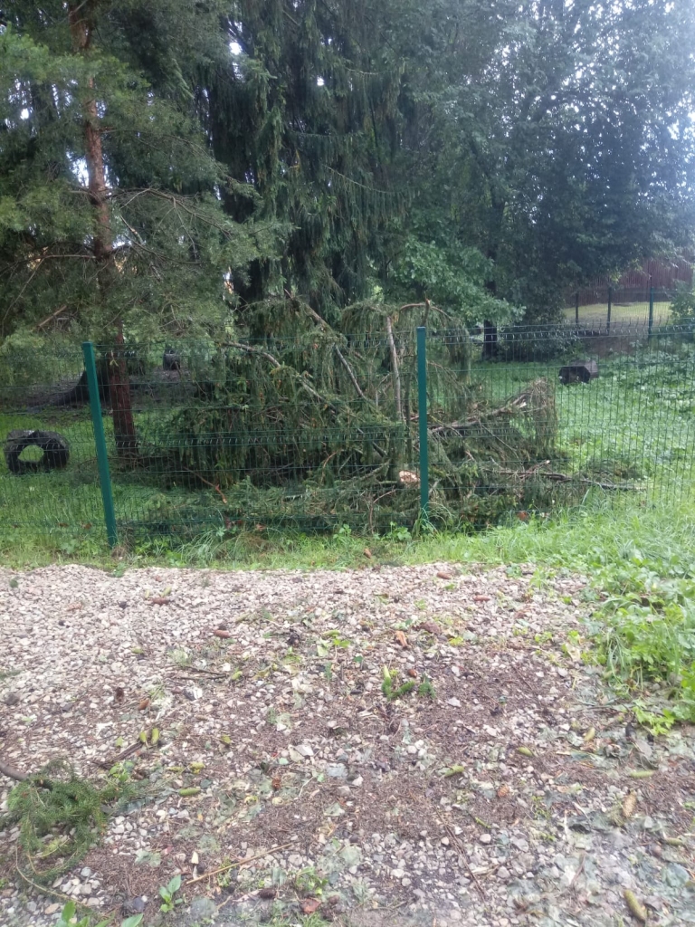 Spārītes parks Gulbenē pulksten 7.00.
Autors: no privātā arhīva