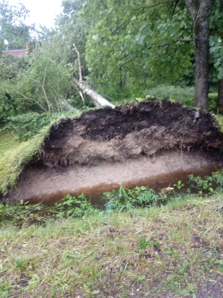 Spārītes parks Gulbenē pulksten 7.00.
Autors: no privātā arhīva