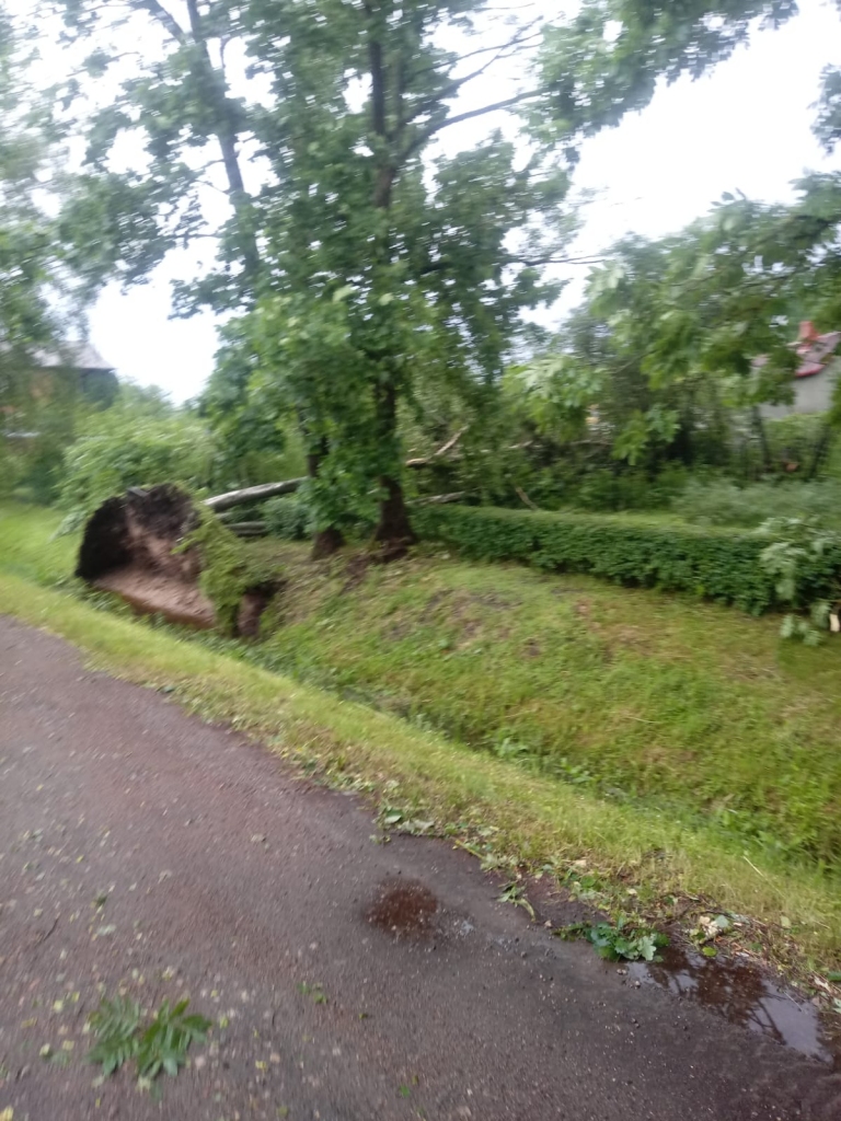 Spārītes parks Gulbenē pulksten 7.00.
Autors: no privātā arhīva