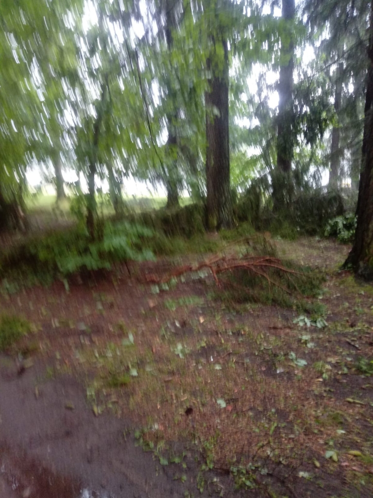 Spārītes parks Gulbenē pulksten 7.00.
Autors: no privātā arhīva