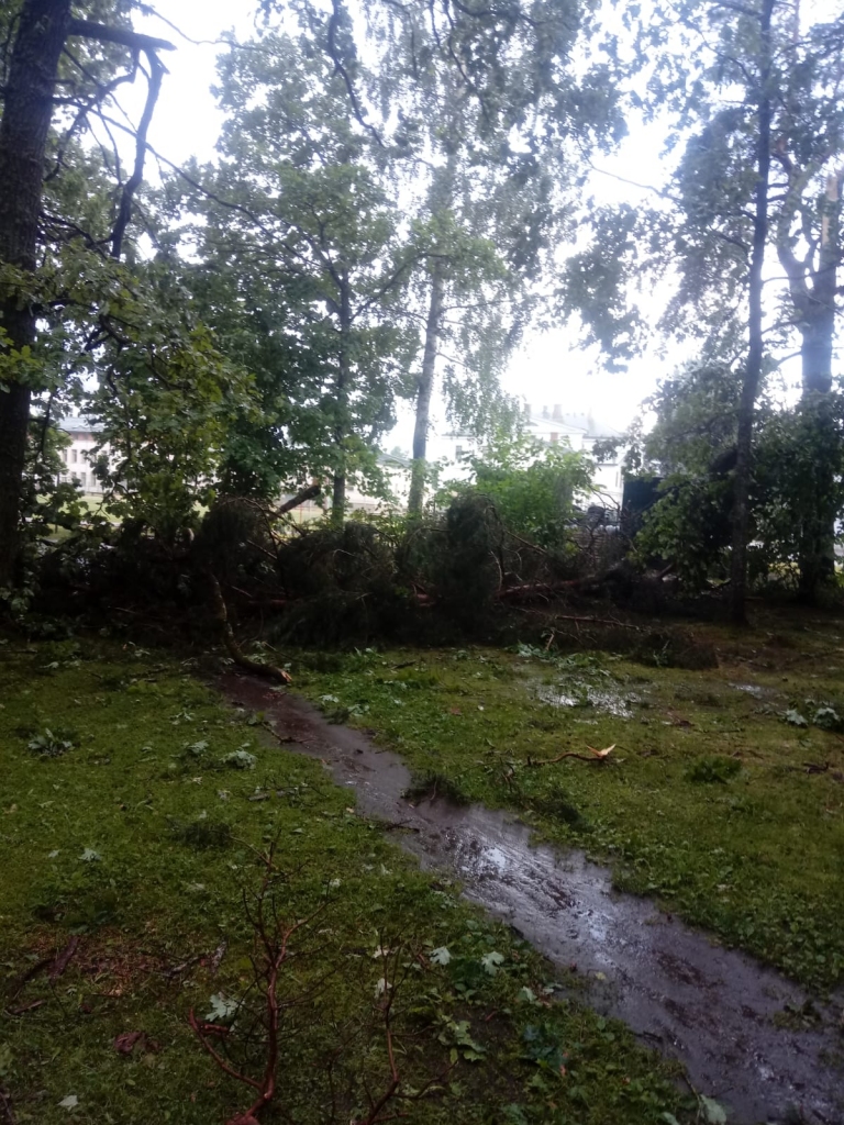 Spārītes parks Gulbenē pulksten 7.00.
Autors: no privātā arhīva
