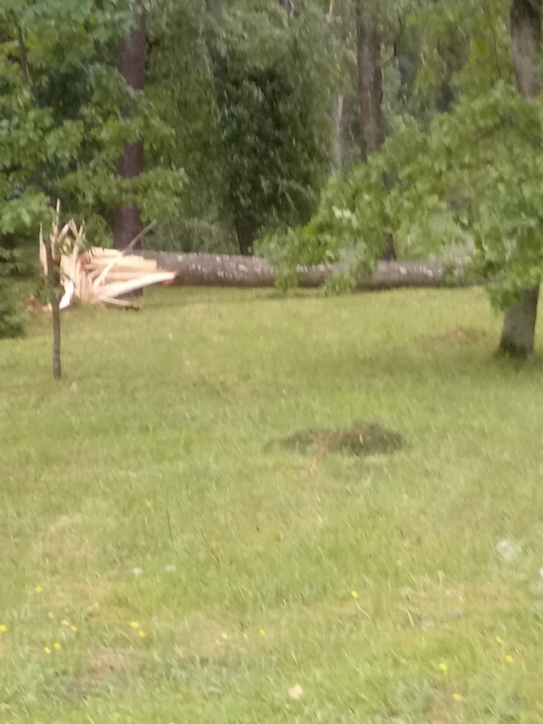 Spārītes parks Gulbenē pulksten 7.00.
Autors: no privātā arhīva
