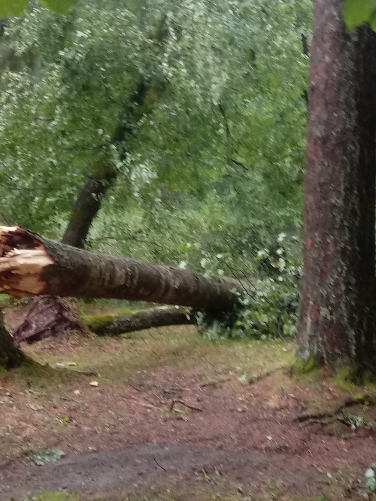Spārītes parks Gulbenē pulksten 7.00.
Autors: no privātā arhīva