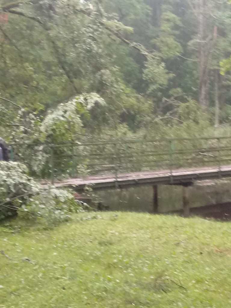 Spārītes parks Gulbenē pulksten 7.00.
Autors: no privātā arhīva