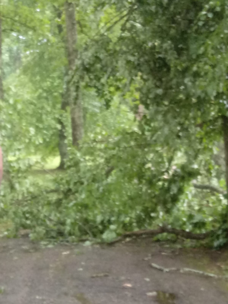 Spārītes parks Gulbenē pulksten 7.00.
Autors: no privātā arhīva