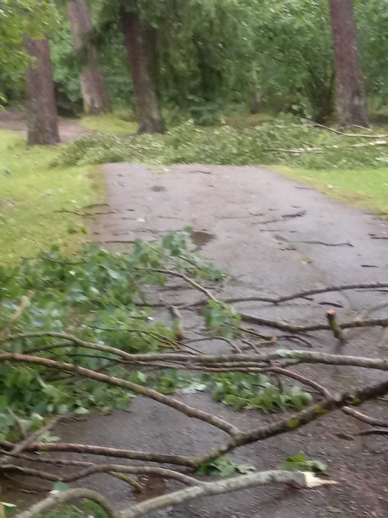 Spārītes parks Gulbenē pulksten 7.00.
Autors: no privātā arhīva