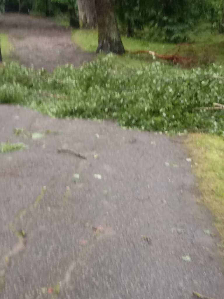 Spārītes parks Gulbenē pulksten 7.00.
Autors: no privātā arhīva