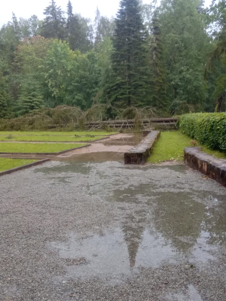 Spārītes parks Gulbenē pulksten 7.00.
Autors: no privātā arhīva
