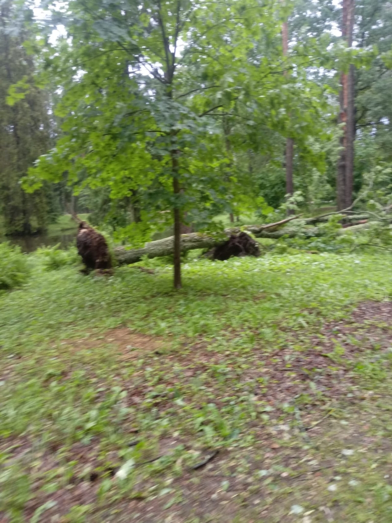 Spārītes parks Gulbenē pulksten 7.00.
Autors: no privātā arhīva