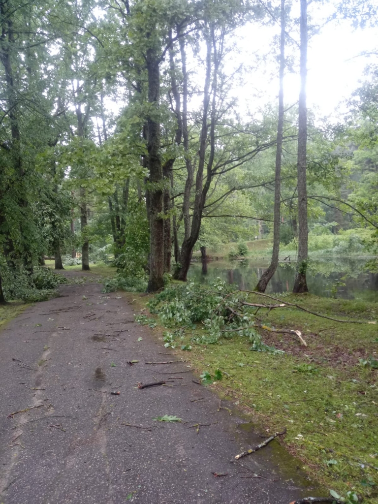 Spārītes parks Gulbenē pulksten 7.00.
Autors: no privātā arhīva