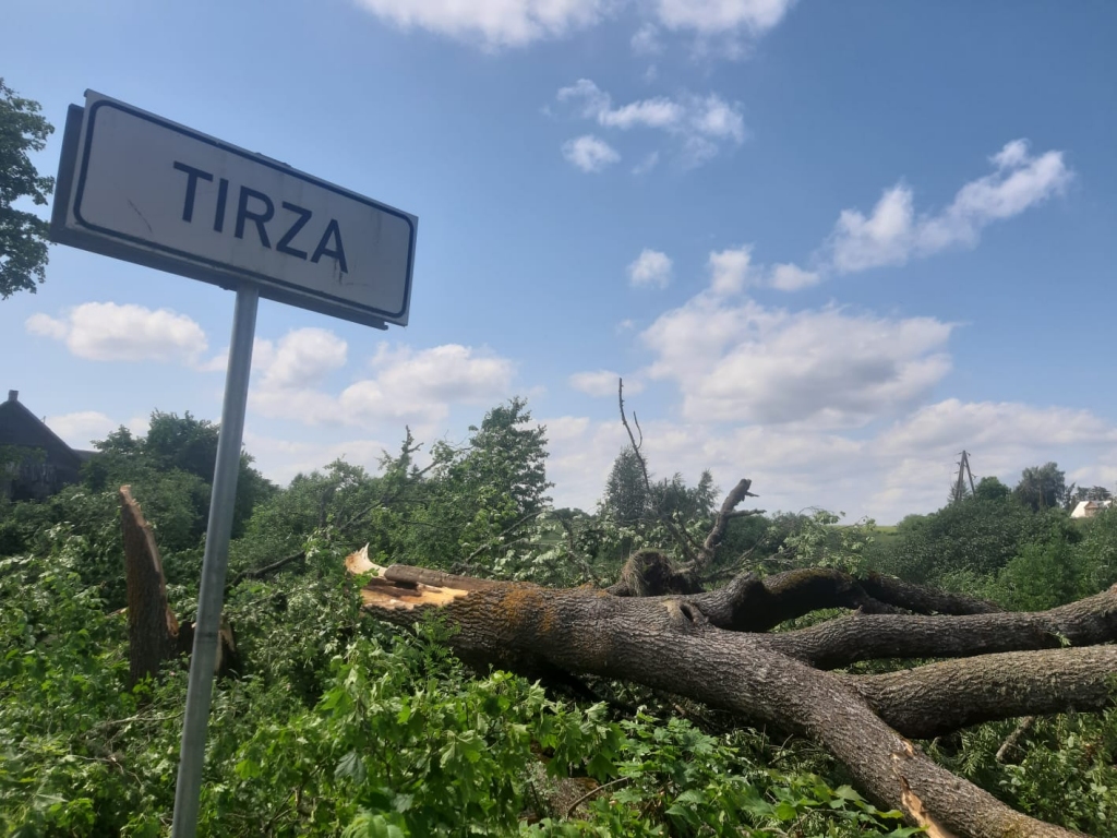 Tirza.
Autors: Ginta Alberte
