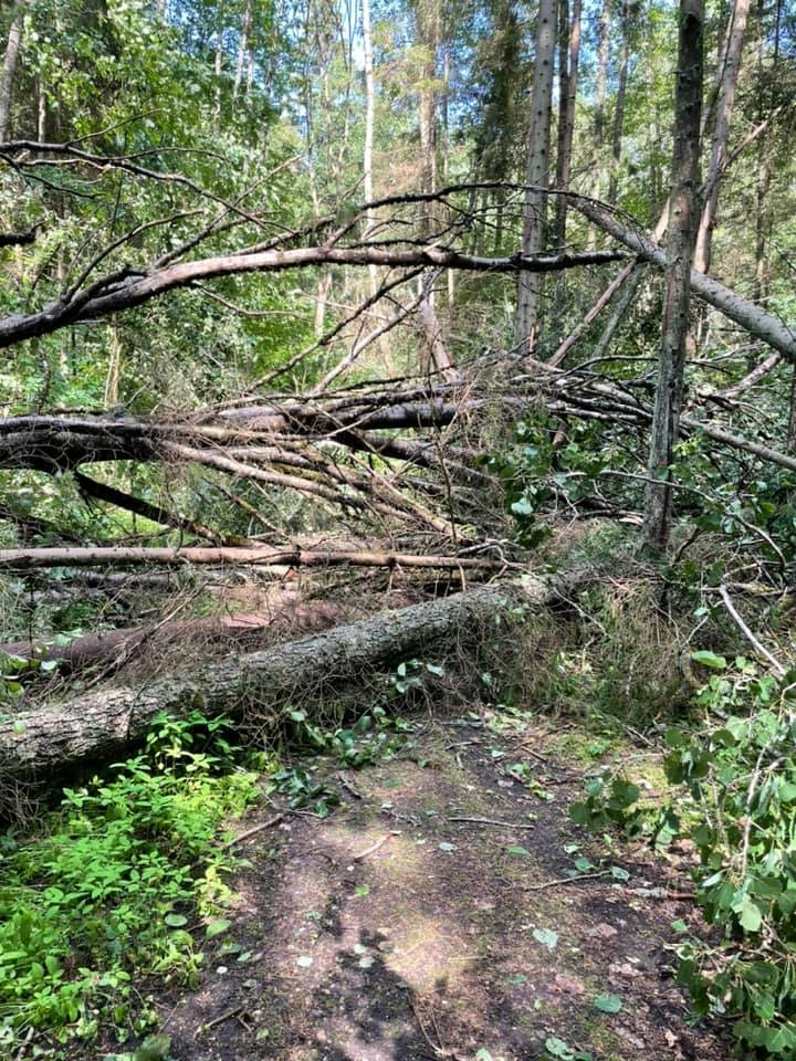 Gulbene, Spārītes parks.
Autors: Diāna Odumiņa