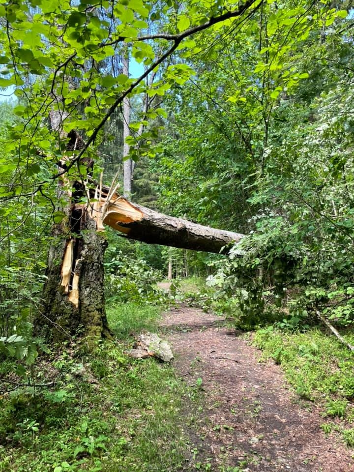 Gulbene, Spārītes parks.
Autors: Diāna Odumiņa