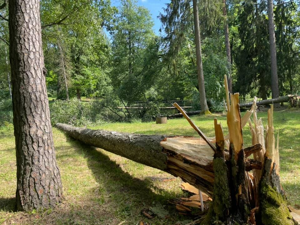 Gulbene, Spārītes parks.
Autors: Diāna Odumiņa