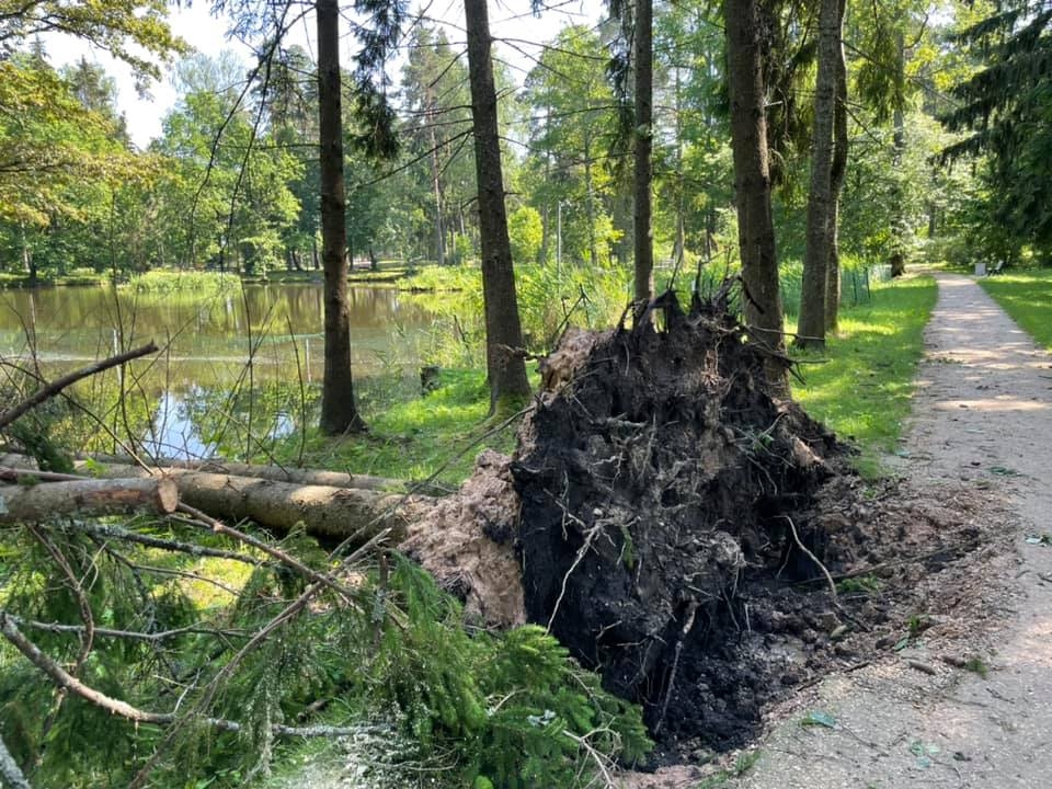 Gulbene, Spārītes parks.
Autors: Diāna Odumiņa