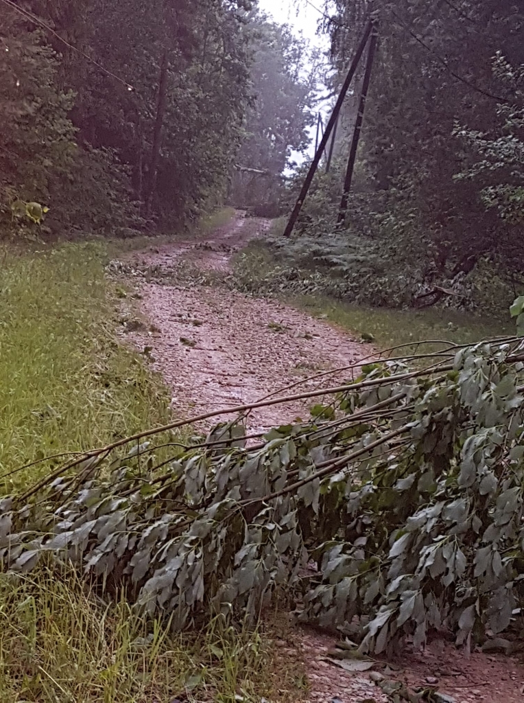 Galgauskas "Dzirnavas".
Autors: Līga Jaunzeme