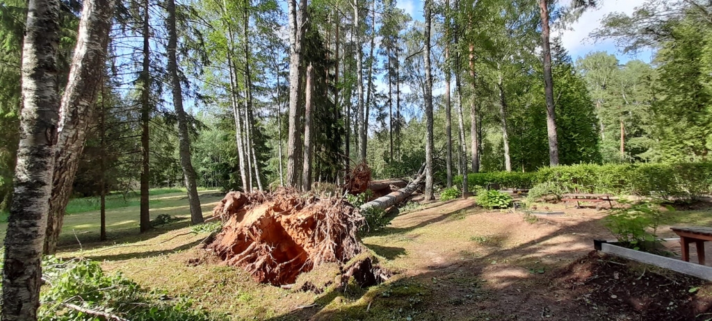 Autors: Emīls Radiončiks