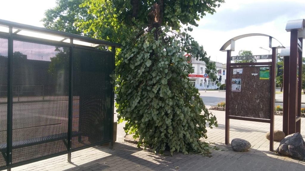 Gulbene.
Autors: Pārsla Konrāde