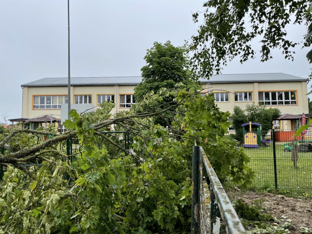 Autors: Diāna Odumiņa