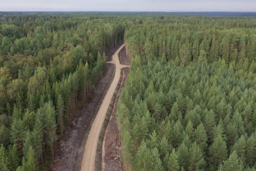 Dzirkstele.lv raksta attēla aizvietotājs