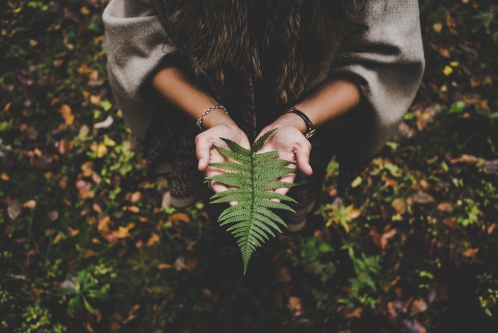 Foto: Pexels.com