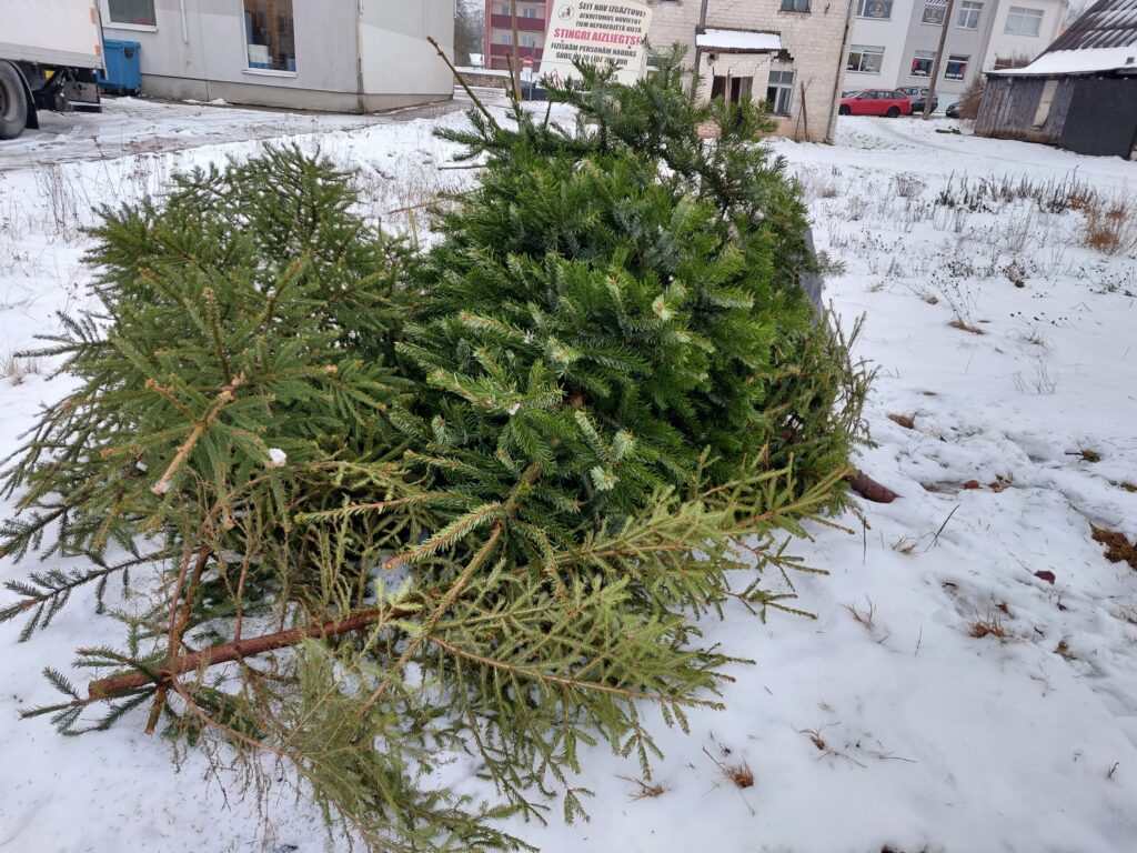 Dzirkstele.lv raksta attēla aizvietotājs