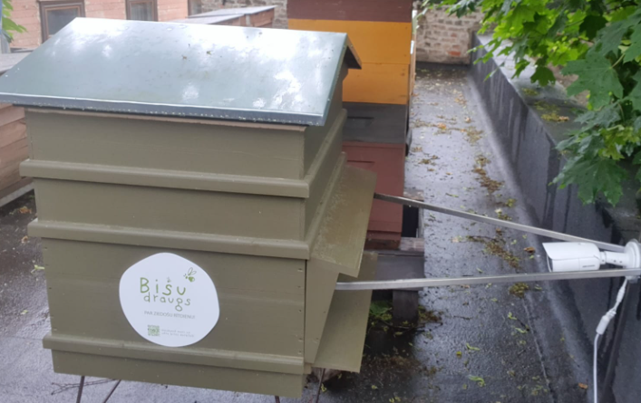 Dzirkstele.lv raksta attēla aizvietotājs