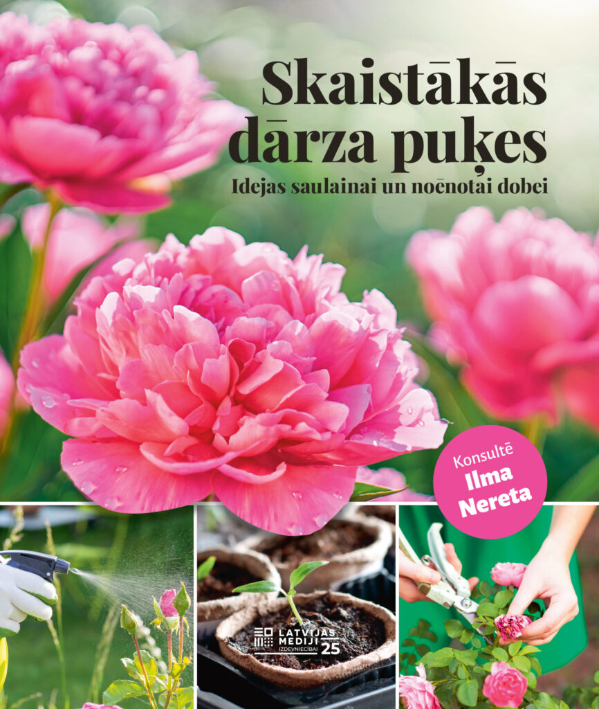 Dzirkstele.lv raksta attēla aizvietotājs
