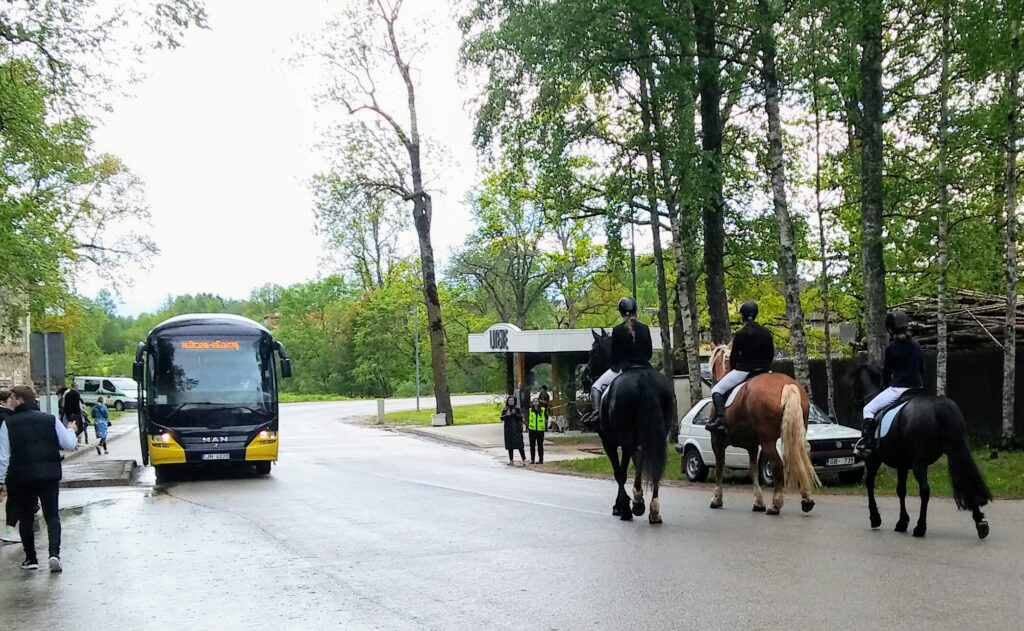 Dzirkstele.lv raksta attēla aizvietotājs