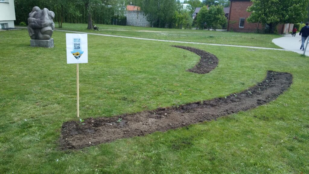 Dzirkstele.lv raksta attēla aizvietotājs