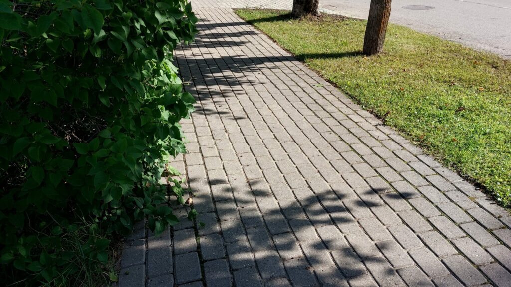 Dzirkstele.lv raksta attēla aizvietotājs