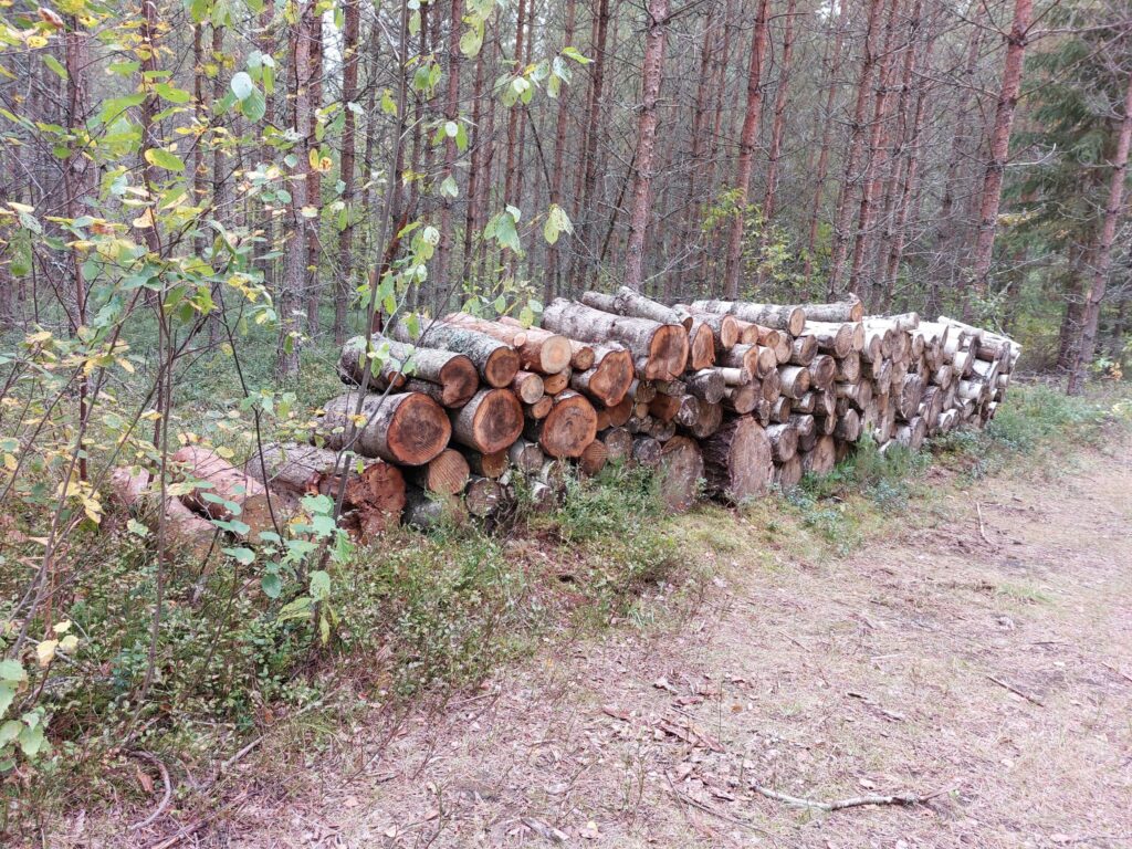 Dzirkstele.lv raksta attēla aizvietotājs